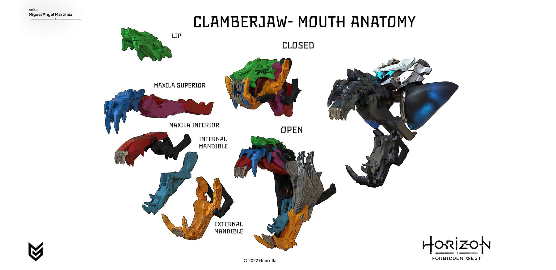 Clamberjaw mouth anatomy